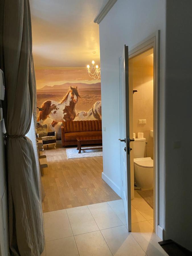 Exclusive Gaono Apartment In The Heart Of Old Town Βίλνιους Εξωτερικό φωτογραφία