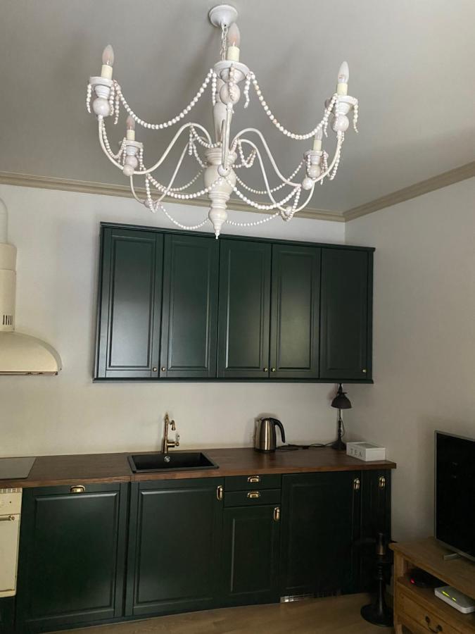 Exclusive Gaono Apartment In The Heart Of Old Town Βίλνιους Εξωτερικό φωτογραφία