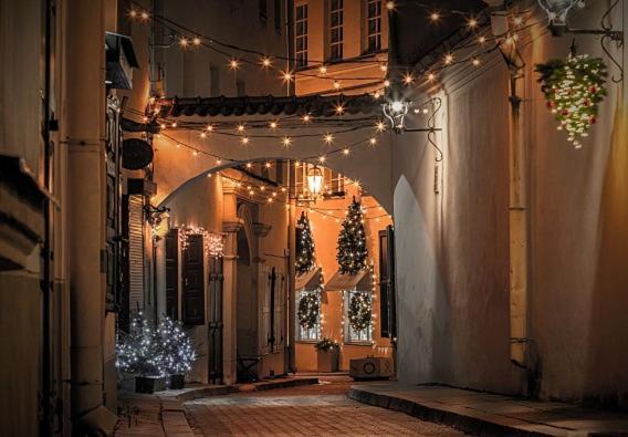 Exclusive Gaono Apartment In The Heart Of Old Town Βίλνιους Εξωτερικό φωτογραφία